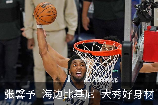 张馨予 海边比基尼 大秀好身材 肉欲满满 觉得美的留下评论